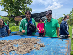 20240622194916.jpg - การศึกษาดูงาน ณ ศูนย์การเรียนรู้ครบวงจร กาแฟชาวไทยภูเขา ฮิลล์คอฟฟ์ | https://facagri.cmru.ac.th/web