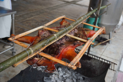 20240715110501.jpg - เสวนาเครือข่ายการเลี้ยงหมูหลุม (รวมพลคนเลี้ยงหมูหลุม ครั้งที่ 5) | https://facagri.cmru.ac.th/web