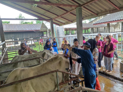 20240823081416(1).jpg - ฝึกประสบการณ์ตรวจสุขภาพและตรวจระบบสืบพันธุ์โคเบื้องต้น นักศึกษาจาก Universiti Teknologi MARA, Malaysia | https://facagri.cmru.ac.th/web