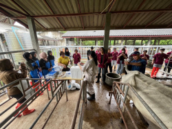 20240823081417(1).jpg - ฝึกประสบการณ์ตรวจสุขภาพและตรวจระบบสืบพันธุ์โคเบื้องต้น นักศึกษาจาก Universiti Teknologi MARA, Malaysia | https://facagri.cmru.ac.th/web