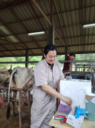 20240823081418(3).jpg - ฝึกประสบการณ์ตรวจสุขภาพและตรวจระบบสืบพันธุ์โคเบื้องต้น นักศึกษาจาก Universiti Teknologi MARA, Malaysia | https://facagri.cmru.ac.th/web