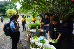 20240911134632.jpg - เยี่ยมชมบูธผลงานคณาจารย์และนักศึกษา | https://facagri.cmru.ac.th/web
