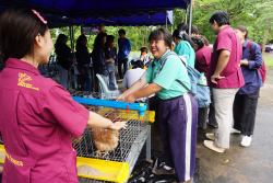 20240911134650.jpg - เยี่ยมชมบูธผลงานคณาจารย์และนักศึกษา | https://facagri.cmru.ac.th/web