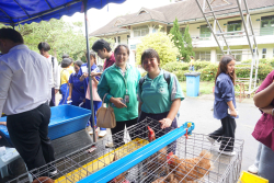 20240911134653.jpg - เยี่ยมชมบูธผลงานคณาจารย์และนักศึกษา | https://facagri.cmru.ac.th/web