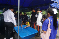 20240911134654.jpg - เยี่ยมชมบูธผลงานคณาจารย์และนักศึกษา | https://facagri.cmru.ac.th/web