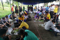 20240911154458.jpg - การแข่งขันทักษะด้านเทคโนโลยีการเกษตร | https://facagri.cmru.ac.th/web
