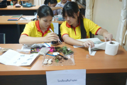 20240911154542.jpg - การแข่งขันทักษะด้านเทคโนโลยีการเกษตร | https://facagri.cmru.ac.th/web