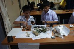 20240911154545.jpg - การแข่งขันทักษะด้านเทคโนโลยีการเกษตร | https://facagri.cmru.ac.th/web