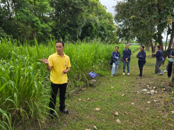 20240924110244(11).jpg - ศึกษาดูงานแปลงรวบรวมพันธุ์พืชอาหารสัตว์ | https://facagri.cmru.ac.th/web