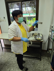 20240924110245(1).jpg - ศึกษาดูงานแปลงรวบรวมพันธุ์พืชอาหารสัตว์ | https://facagri.cmru.ac.th/web