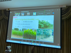 20241001105403.jpg - หลักการผลิตและขอรับการรับรองตามมาตรฐานเกษตรอินทรีย์ ด้านปศุสัตว์ | https://facagri.cmru.ac.th/web