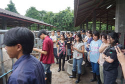 20241106182340.jpg - กิจกรรมแลกเปลี่ยนเชิงปฏิบัติการด้านสัตวศาสตร์ Temasek Polytechnic ประเทศสิงคโปร์ | https://facagri.cmru.ac.th/web