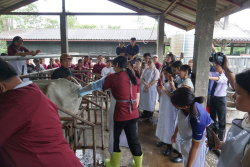 20241106182341(1).jpg - กิจกรรมแลกเปลี่ยนเชิงปฏิบัติการด้านสัตวศาสตร์ Temasek Polytechnic ประเทศสิงคโปร์ | https://facagri.cmru.ac.th/web