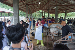 20241106182342(1).jpg - กิจกรรมแลกเปลี่ยนเชิงปฏิบัติการด้านสัตวศาสตร์ Temasek Polytechnic ประเทศสิงคโปร์ | https://facagri.cmru.ac.th/web