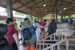 20241106182343(1).jpg - กิจกรรมแลกเปลี่ยนเชิงปฏิบัติการด้านสัตวศาสตร์ Temasek Polytechnic ประเทศสิงคโปร์ | https://facagri.cmru.ac.th/web