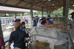 20241106182344(1).jpg - กิจกรรมแลกเปลี่ยนเชิงปฏิบัติการด้านสัตวศาสตร์ Temasek Polytechnic ประเทศสิงคโปร์ | https://facagri.cmru.ac.th/web