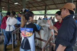 20241106182345(1).jpg - กิจกรรมแลกเปลี่ยนเชิงปฏิบัติการด้านสัตวศาสตร์ Temasek Polytechnic ประเทศสิงคโปร์ | https://facagri.cmru.ac.th/web