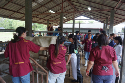 20241106182346.jpg - กิจกรรมแลกเปลี่ยนเชิงปฏิบัติการด้านสัตวศาสตร์ Temasek Polytechnic ประเทศสิงคโปร์ | https://facagri.cmru.ac.th/web