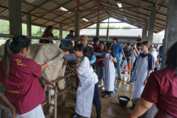 20241106182347.jpg - กิจกรรมแลกเปลี่ยนเชิงปฏิบัติการด้านสัตวศาสตร์ Temasek Polytechnic ประเทศสิงคโปร์ | https://facagri.cmru.ac.th/web