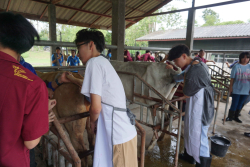 20241106182348(1).jpg - กิจกรรมแลกเปลี่ยนเชิงปฏิบัติการด้านสัตวศาสตร์ Temasek Polytechnic ประเทศสิงคโปร์ | https://facagri.cmru.ac.th/web