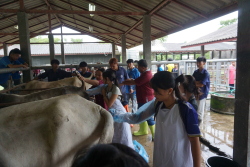 20241106182350(1).jpg - กิจกรรมแลกเปลี่ยนเชิงปฏิบัติการด้านสัตวศาสตร์ Temasek Polytechnic ประเทศสิงคโปร์ | https://facagri.cmru.ac.th/web