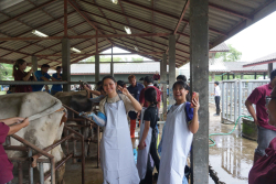 20241106182350.jpg - กิจกรรมแลกเปลี่ยนเชิงปฏิบัติการด้านสัตวศาสตร์ Temasek Polytechnic ประเทศสิงคโปร์ | https://facagri.cmru.ac.th/web
