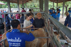 20241106182351(1).jpg - กิจกรรมแลกเปลี่ยนเชิงปฏิบัติการด้านสัตวศาสตร์ Temasek Polytechnic ประเทศสิงคโปร์ | https://facagri.cmru.ac.th/web