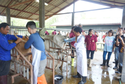 20241106182351.jpg - กิจกรรมแลกเปลี่ยนเชิงปฏิบัติการด้านสัตวศาสตร์ Temasek Polytechnic ประเทศสิงคโปร์ | https://facagri.cmru.ac.th/web
