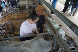 20241106182352(2).jpg - กิจกรรมแลกเปลี่ยนเชิงปฏิบัติการด้านสัตวศาสตร์ Temasek Polytechnic ประเทศสิงคโปร์ | https://facagri.cmru.ac.th/web