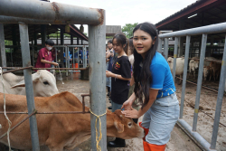 20241106182354.jpg - กิจกรรมแลกเปลี่ยนเชิงปฏิบัติการด้านสัตวศาสตร์ Temasek Polytechnic ประเทศสิงคโปร์ | https://facagri.cmru.ac.th/web