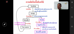 20241209110048(3).jpg -  | https://facagri.cmru.ac.th/web