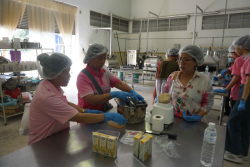 20250311144053(1).jpg - อบรมเชิงปฏิบัติการนวัตกรรมอาหารจากโปรตีนพืชเพื่อความยั่งยืน | https://facagri.cmru.ac.th/web
