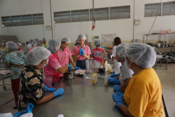 20250311144054(1).jpg - อบรมเชิงปฏิบัติการนวัตกรรมอาหารจากโปรตีนพืชเพื่อความยั่งยืน | https://facagri.cmru.ac.th/web