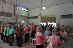 20250311144058(1).jpg - อบรมเชิงปฏิบัติการนวัตกรรมอาหารจากโปรตีนพืชเพื่อความยั่งยืน | https://facagri.cmru.ac.th/web