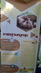 20250524103211(2).jpg - รวมพลคนเลี้ยงหมูหลุม ครั้งที่ 6 | https://facagri.cmru.ac.th/web