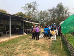 20250606100836(1).jpg - บริการวิชาการปศุสัตว์สู่ชุมชนและบริหารจัดการฟาร์มสัตว์เลี้ยงทดลอง | https://facagri.cmru.ac.th/web