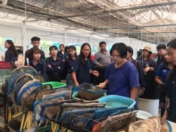 20210818083354.jpg -  เยี่ยมชมฟาร์ม คณะเกษตรศาสตร์ มหาวิทยาลัยขอนแก่น | https://facagri.cmru.ac.th/web