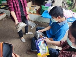 20211019040955(1).jpg - การอบรมเชิงปฏิบัติการเรื่องการเพาะและการยืดอายุการเก็บรักษาต้นอ่อนและผักไมโครกรีน  | https://facagri.cmru.ac.th/web
