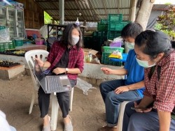 20211019040955(4).jpg - การอบรมเชิงปฏิบัติการเรื่องการเพาะและการยืดอายุการเก็บรักษาต้นอ่อนและผักไมโครกรีน  | https://facagri.cmru.ac.th/web