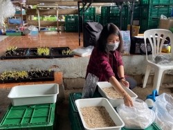 20211019040956.jpg - การอบรมเชิงปฏิบัติการเรื่องการเพาะและการยืดอายุการเก็บรักษาต้นอ่อนและผักไมโครกรีน  | https://facagri.cmru.ac.th/web