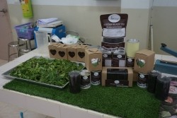 20211129034448.jpg - อบรมผลิตภัณฑ์ Organic Black Tea และ Organic Oolong Tea โครงการ OGOP Model 2 | https://facagri.cmru.ac.th/web