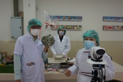 20211129034555.jpg - อบรมผลิตภัณฑ์ Organic Black Tea และ Organic Oolong Tea โครงการ OGOP Model 2 | https://facagri.cmru.ac.th/web