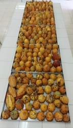 20220127025304(5).jpg - การอบรมเชิงปฏิบัติการโครงการพาน้องชมสวนและแปรรูปโกโก้ | https://facagri.cmru.ac.th/web