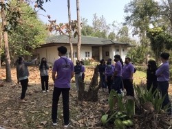 20220222083241.jpg - หลักการออกแบบสวนและการเก็บรวบรวมพืชสมุนไพรพื้นเมืองในท้องถิ่น | https://facagri.cmru.ac.th/web