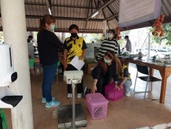 20220308033947(2).jpg - อบรมเชิงปฏิบัติการ การเป็นผู้ช่วยสัตวแพทย์เบื้องต้น | https://facagri.cmru.ac.th/web