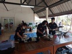 20220308033947.jpg - อบรมเชิงปฏิบัติการ การเป็นผู้ช่วยสัตวแพทย์เบื้องต้น | https://facagri.cmru.ac.th/web