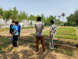 20220317041549(7).jpg - ศึกษาดูงานศูนย์การเรียนผลิตพืชสมุนไพรอินทรีย์ มหาวิทยาลัยแม่โจ้ | https://facagri.cmru.ac.th/web