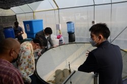 20220331032648.jpg -  แลกเปลี่ยนเรียนรู้งานด้านการพัฒนาเกษตรอินทรีย์เพื่อความยั่งยืนในการพัฒนาท้องถิ่น | https://facagri.cmru.ac.th/web