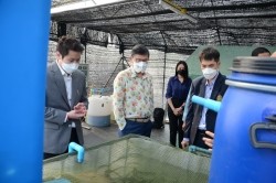 20220331032651.jpg -  แลกเปลี่ยนเรียนรู้งานด้านการพัฒนาเกษตรอินทรีย์เพื่อความยั่งยืนในการพัฒนาท้องถิ่น | https://facagri.cmru.ac.th/web