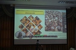 20220506012240.jpg - การแข่งขันการนำเสนอผลงานวิจัย ปัญหาพิเศษ โครงงานสหกิจศึกษา เครือข่ายราชภัฏทั่วประเทศ ครั้งที่ 7 | https://facagri.cmru.ac.th/web